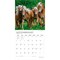 Plato; Magnificent Horses | 2027 12 x 24 Inch (Hanging) Monthly Square Wall Calendar | Foil Stamped Cover; Category:Wall Calendars; Image:5